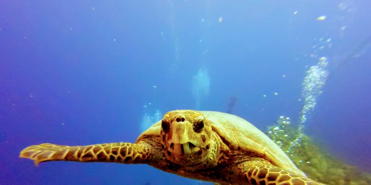 Komplexní potápěčský kurz pro začátečníky se školou Enjoy diving