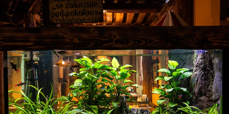 Gurmánské vzplanutí: tříchodové menu s 3 druhy masa a restovanou cibulkou