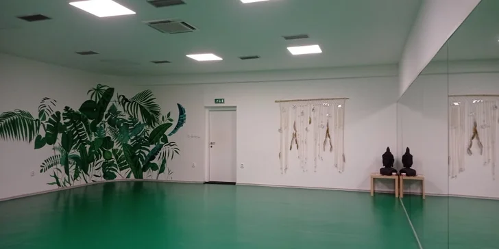 Sálové lekce jógy dle vašeho výběru: 1 až 10 hodin v Centru Viktoria