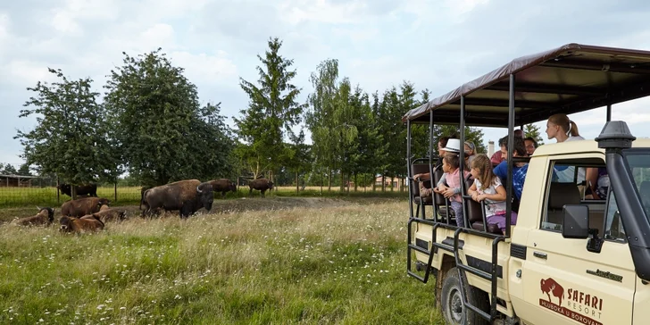 Dobrodružství jako z divočiny: 60minutová jízda v Offroad Safari pro 1 i 2 osoby