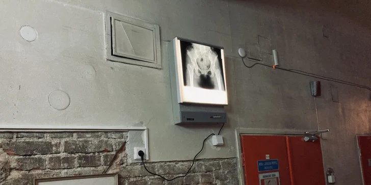 Časově neomezená prohlídka muzea Franz Kafka Špitál pro jednoho, dva i rodinu