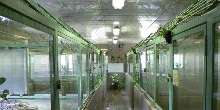 Staňte se na den ošetřovatelem krokodýlů a gaviálů v Krokodýlí ZOO Protivín