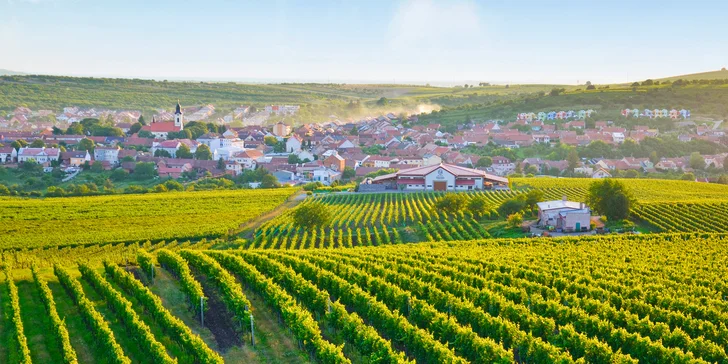 Z apartmánového domu Apa House v Podivíně to budete mít kousek k vinicím i na další výlety.