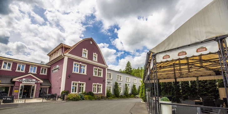 Pobyt ve 4* hotelu ve Varech: skvělé jídlo, masáž, wellness i vlastní kinosál