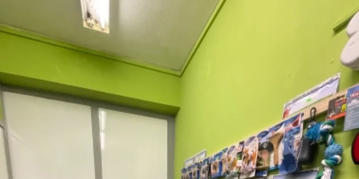 Mražené čisté maso pro zvířata: 2 kg drůbežího či hovězího s vepřovým nebo 4 kg mixu