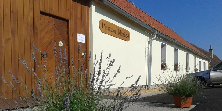 Jihočeský penzion mezi Českým Krumlovem a Třeboní: apartmány se snídaní