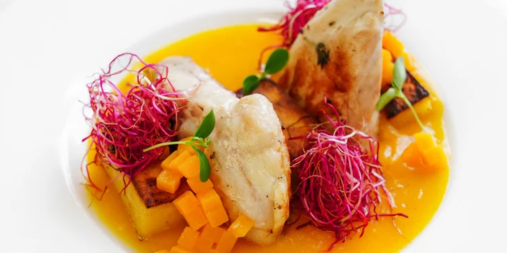 Pobyt v hotelu na břehu přehrady Plumlov: snídaně, polopenze i degustační menu