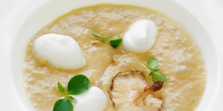 Romantické 6chodové menu u plumlovské přehrady: losos, pstruh, kuřecí i daňčí maso