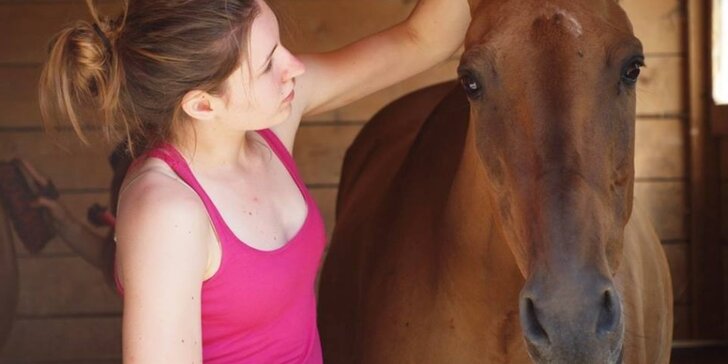 Péče o koně a projížďka v přírodě včetně přirozené komunikace s koňmi
