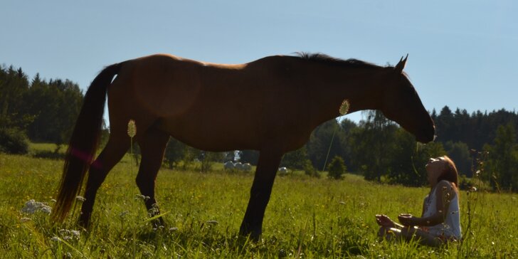 Péče o koně a projížďka v přírodě včetně přirozené komunikace s koňmi