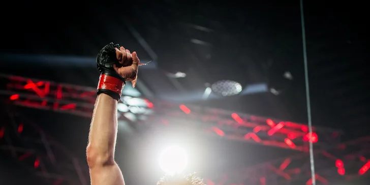 Soukromý trénink s Davidem "Pink Pantherem" Kozmou: lekce MMA pro jednoho i dva rváče