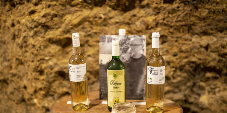 Pobyt v Zaječí: snídaně nebo polopenze i degustace ve vinném sklípku a wellness