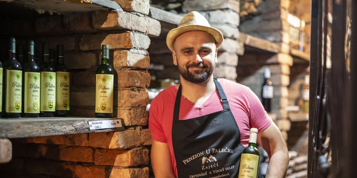 Pobyt v Zaječí: snídaně i degustace ve vinném sklípku a wellness