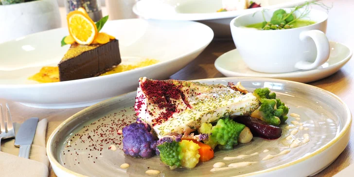 4chodové menu u Brněnské přehrady i s možností wellness: candát nebo vegetariánské rizoto i dezert