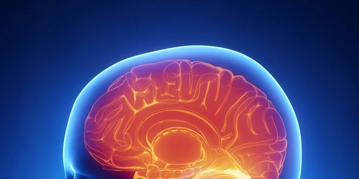 Neurotrénink s mentálním trenérem (60 min)