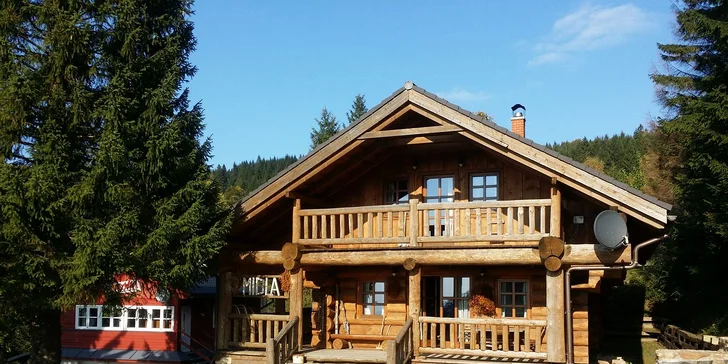 Pronájem vybavených apartmánů nebo celého srubu v Orlických horách