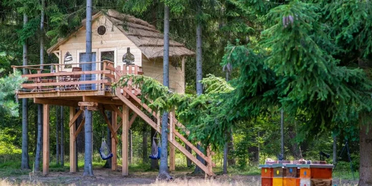 Bydlení v treehousu u lesa nebo rybníku na severu Čech a piknikový koš se snídaní