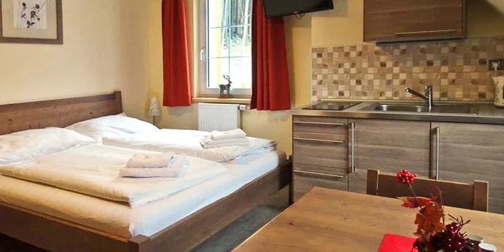 Apartmány ve stylovém penzionu v náruči Krušných hor se snídaněmi