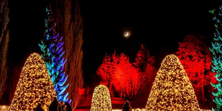 Autobusem z Prahy na adventní trhy do Drážďan a lodí na rozsvícené zahrady Pillnitz