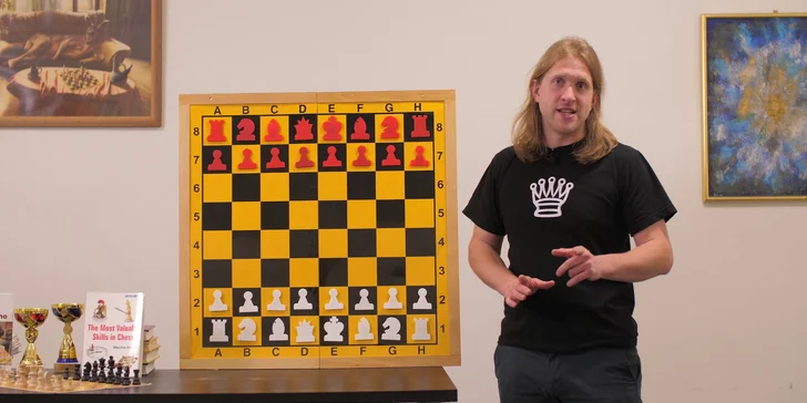 Videokurzy šachů pro děti: začátečníci nebo pokročilí i online kroužek