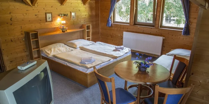 Pobyt v Krušných horách u Božího Daru: polopenze a výlety