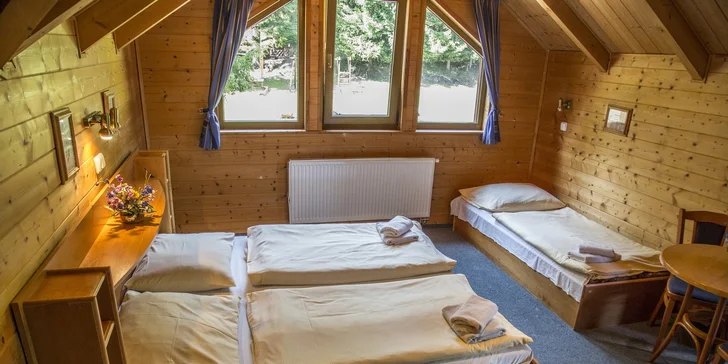 Pobyt v Krušných horách u Božího Daru: polopenze a výlety