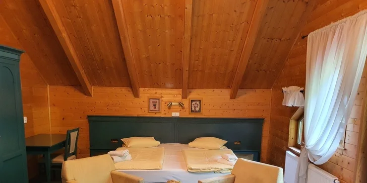 Pobyt v Krušných horách u Božího Daru: polopenze a výlety