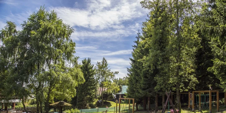 Pobyt v Krušných horách u Božího Daru: polopenze a výlety