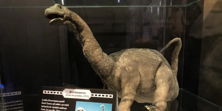 Muzeum Karla Zemana: vstupenky pro děti, dospělé i celé rodiny