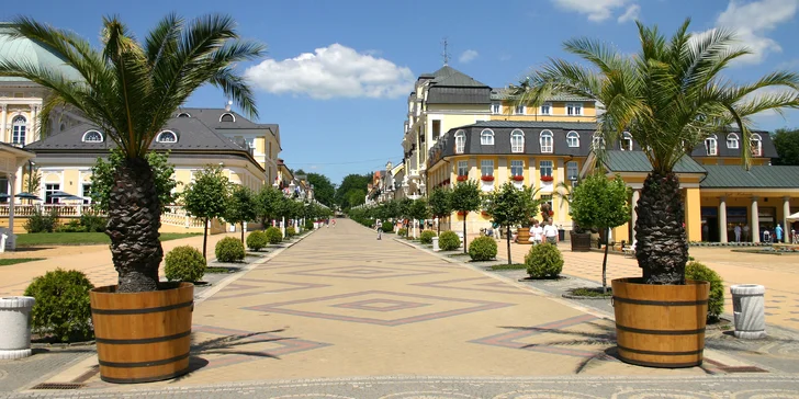 Pobyt ve Františkových Lázních s polopenzí, infrasaunou i procedurami