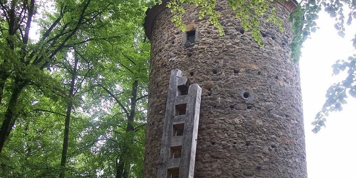 Báječná dovolená v Klatovech: polopenze a neomezený vstup do wellness