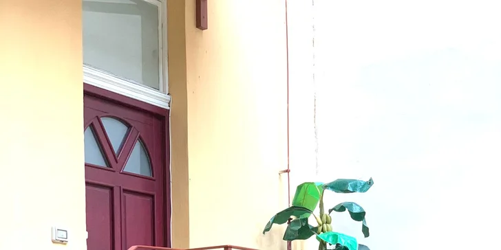 Až 8 dní v moderním apartmánu v Karlíně: vybavená kuchyňka a prostory až pro 7 osob