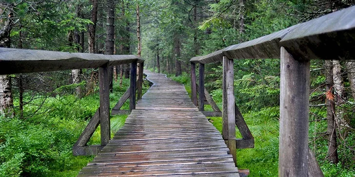 Letní či podzimní relax v Jeseníkách: historický wellness hotel s polopenzí