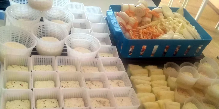 Dárkový voucher na kurz výroby sýrů: čerstvé i zrající sýry, korbáčky, mozzarella a další
