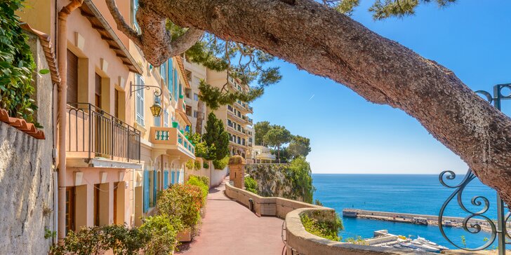 Monako: Jardin de Exotique, Grand Casino, Oceánografické muzeum, Knížecí palác