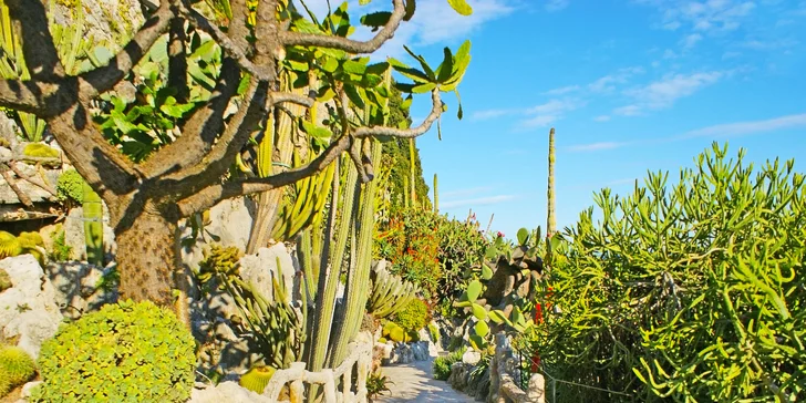Monako: Jardin de Exotique, Grand Casino, Oceánografické muzeum, Knížecí palác