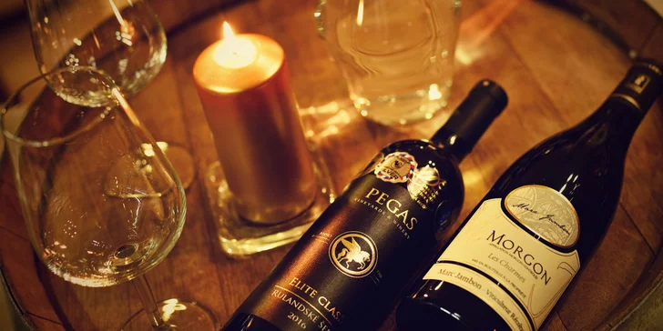 Vinařské kurzy s degustací excelentních vín: 1, 3 či 5 kurzů pro vášnivé vinaře