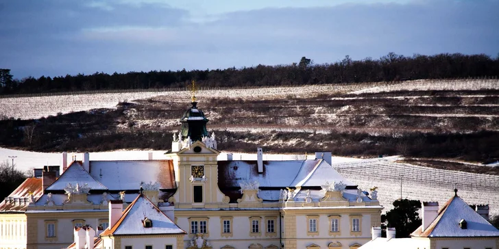 Až 4 dny ve stylu zámecké šlechty v UNESCO památce ve Valticích: snídaně i večeře a víno