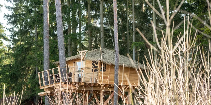 Bydlení v treehousu u lesa nebo rybníku na severu Čech a piknikový koš se snídaní
