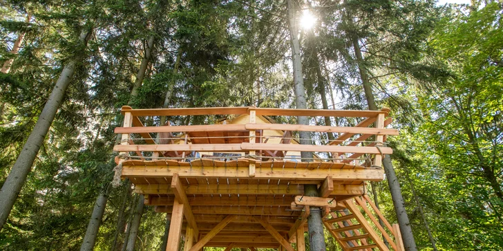 Bydlení v treehousu u lesa nebo rybníku na severu Čech a piknikový koš se snídaní