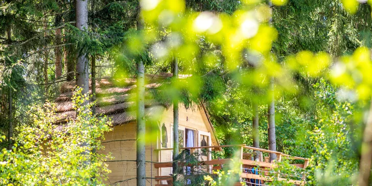 Bydlení v treehousu u lesa nebo rybníku na severu Čech a piknikový koš se snídaní