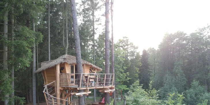 Bydlení v treehousu u lesa nebo rybníku na severu Čech a piknikový koš se snídaní