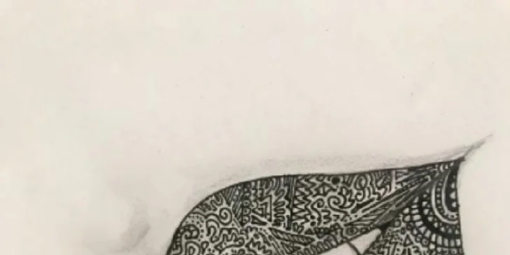 Jednodenní kurz Zentangle: vytvořte pomocí jednoduchých vzorů krásný obraz