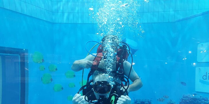 Potápění na zkoušku: ponor v potápěčské věži s instruktorem, min. hodina pod vodou