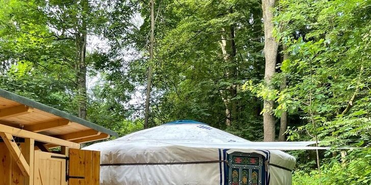 Ubytování v jurtě u Dvora Králové pro dva či celou rodinu: nocleh uprostřed lesů, snídaně, koupání v sudu