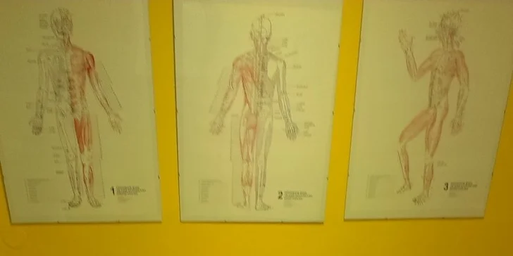 Shiatsu: vysoce účinná japonská masážní terapie pro vaše zdraví
