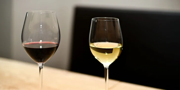 Degustační menu dle výběru i s možností vinného párování pro 2 osoby