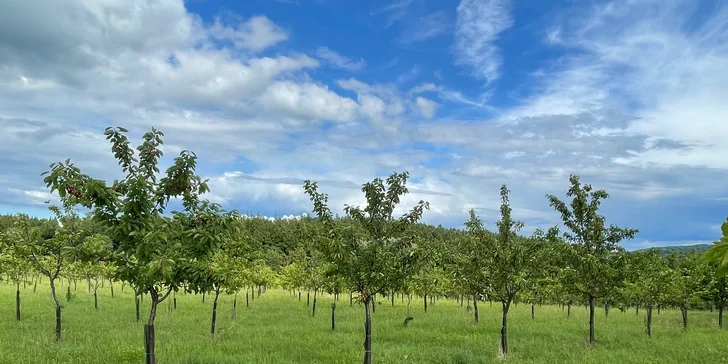 Relax na westernovém ranči se snídaněmi, wellness a bowlingem