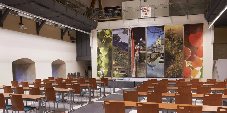 Prohlídka expozice českého vinařství pro 6 osob s degustací a dárkem