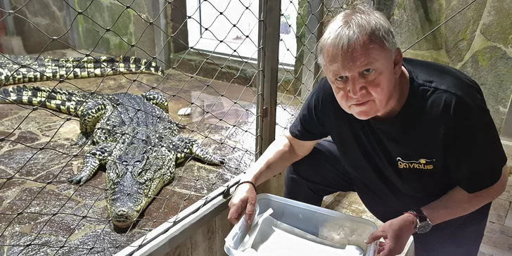 Staňte se na den ošetřovatelem krokodýlů a gaviálů v Krokodýlí ZOO Protivín